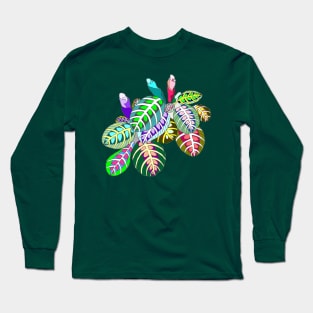 beautiful leaf calathea Long Sleeve T-Shirt